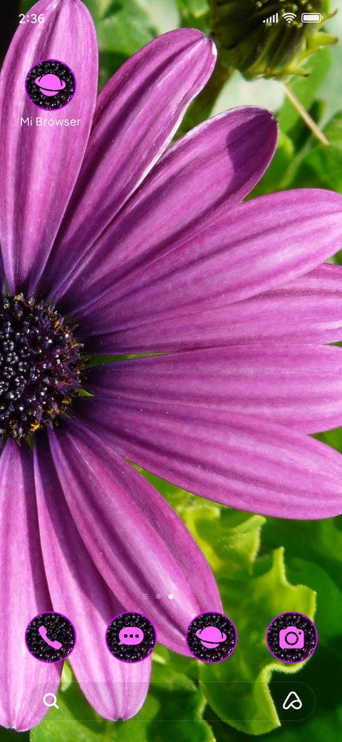 daisy purple screenshot