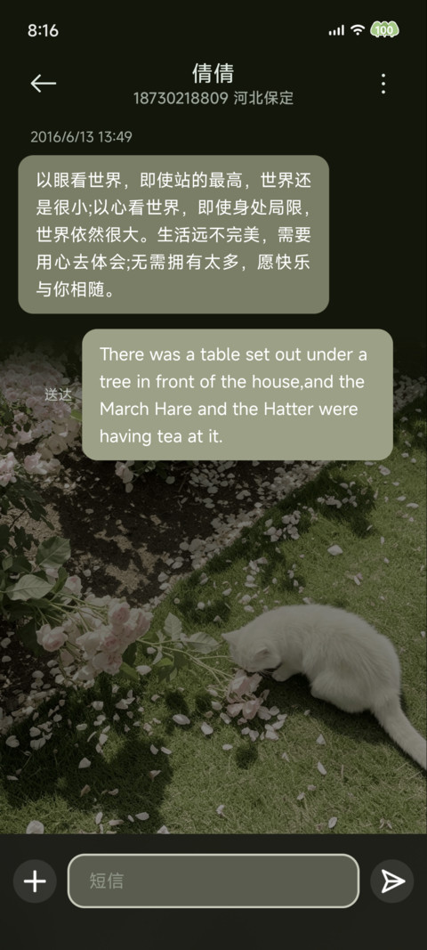 春野有猫 繁花为伴 screenshot