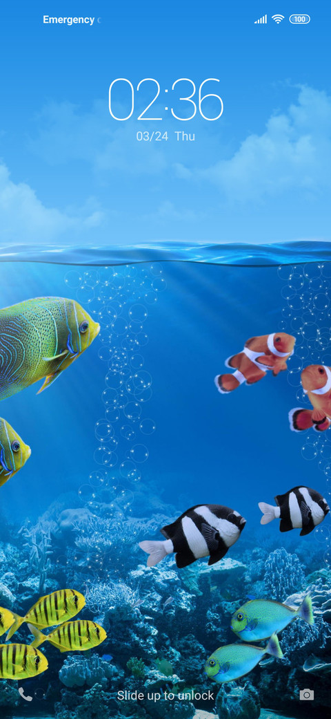 Fish NY screenshot
