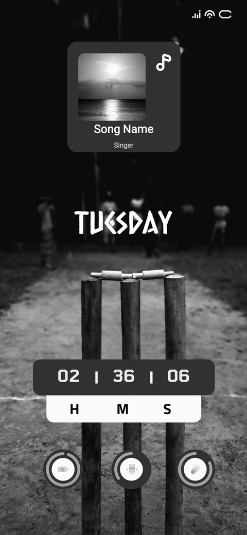 Night Cricket screenshot
