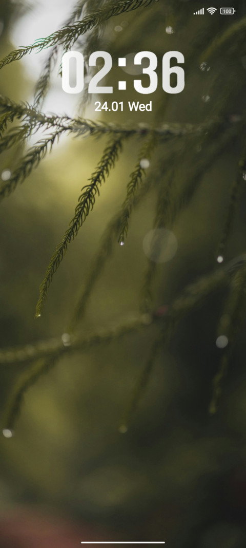 Fogg Leaf screenshot