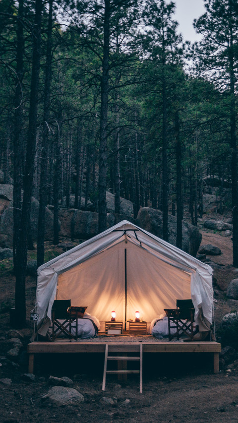 International-tent screenshot