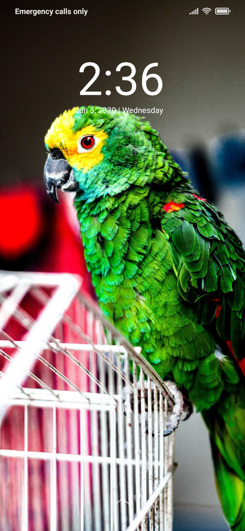 Parrot_DWM2 screenshot