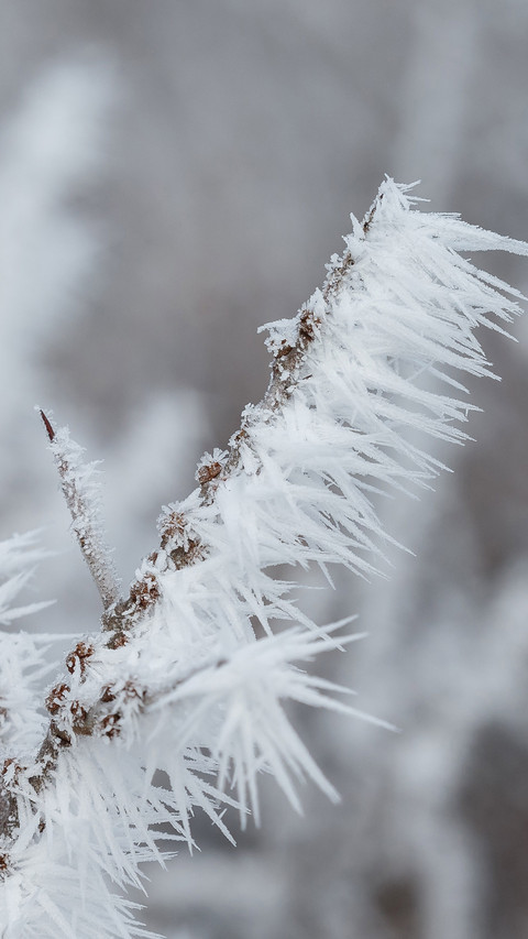 Winter scenery-03 screenshot