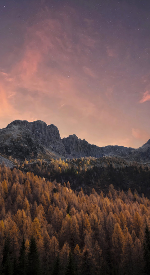 Android HD (4) screenshot