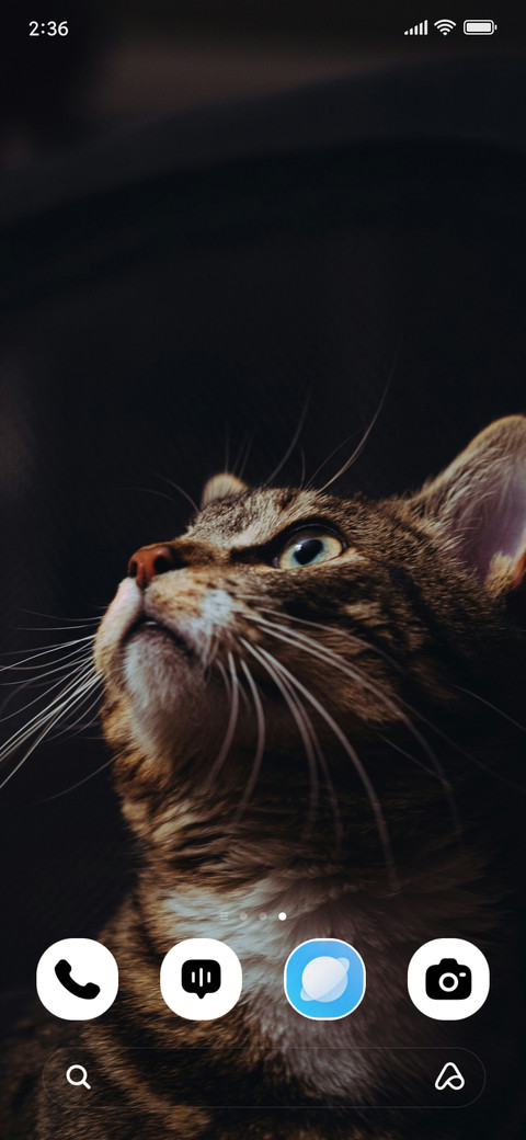 Shadow Paws screenshot