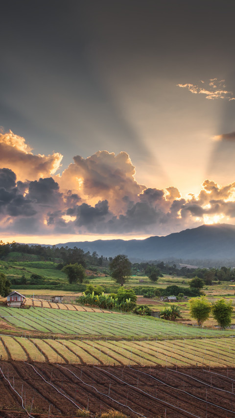 The countryside scenery at sunset screenshot
