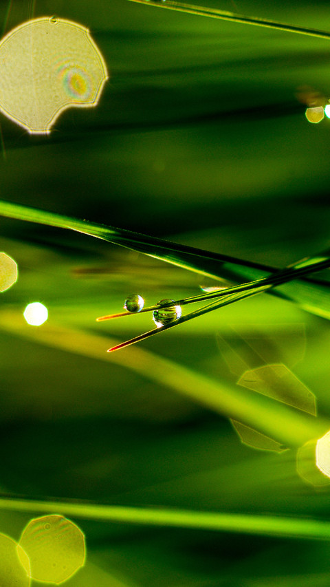 Spring scenery-07 screenshot