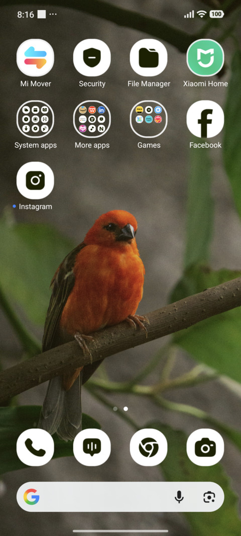 Morning Chirp screenshot