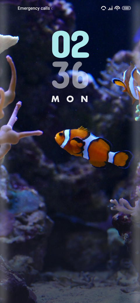 Coral screenshot