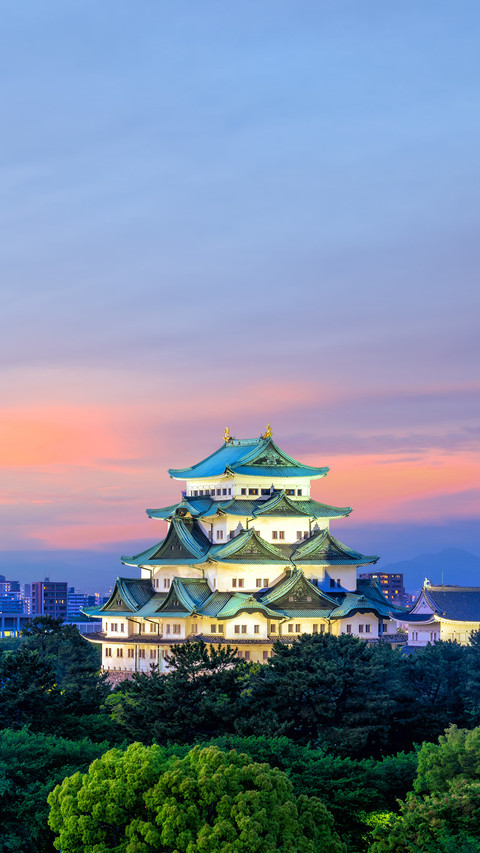 Nagoya Castle and City Skyline in Japan at Sunset screenshot