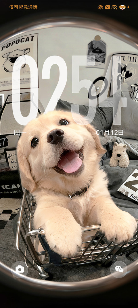 3D小金毛 自定义 screenshot
