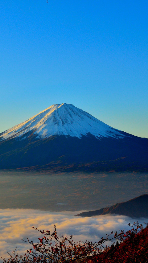 Mount Fuji (4) screenshot