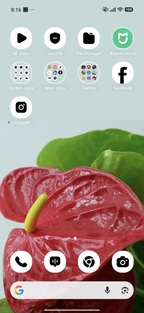 Ruby Anthurium screenshot