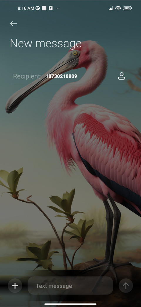 Bird screenshot