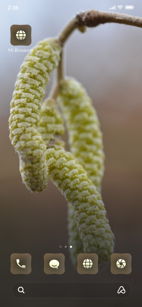 Hazel screenshot