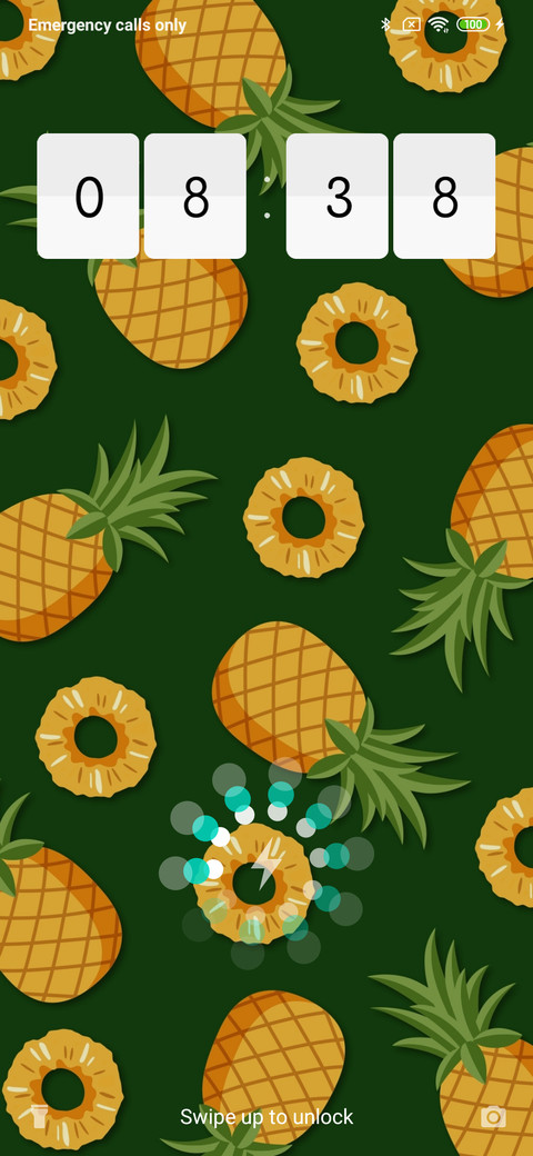 Pineapple_3MDS screenshot