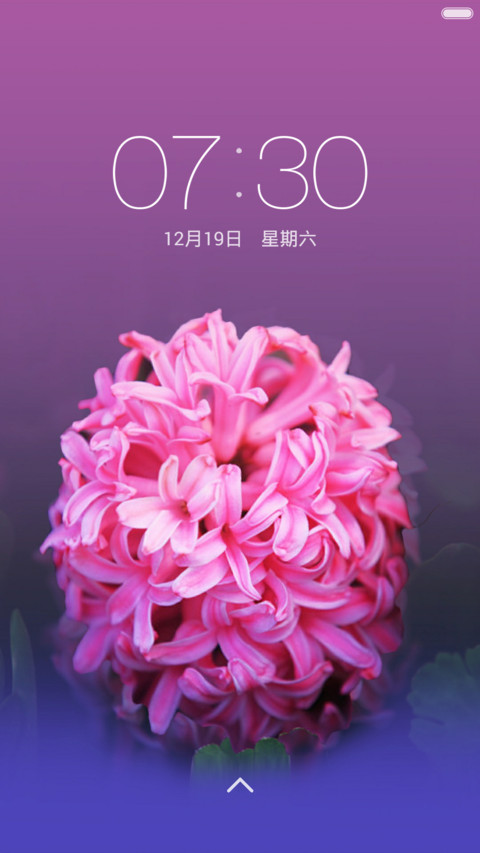 风信子【生命之火】 screenshot