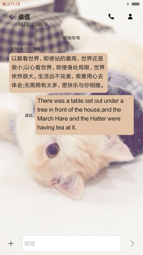 猫之物语喜猫 screenshot