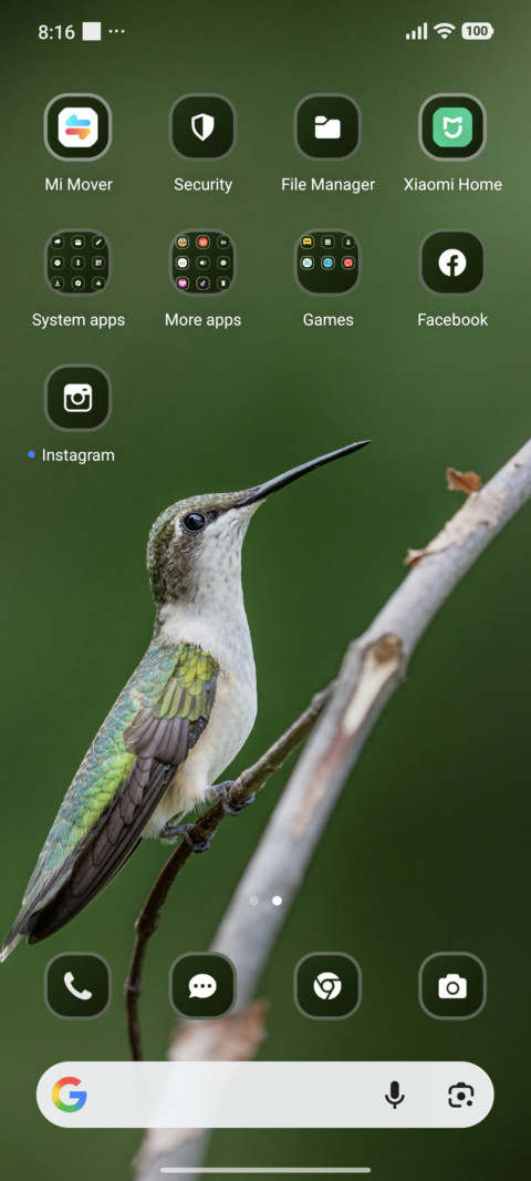 Bird screenshot