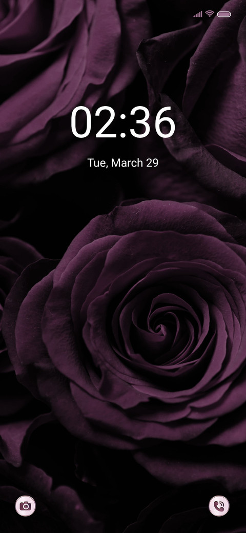 Vintage rose screenshot