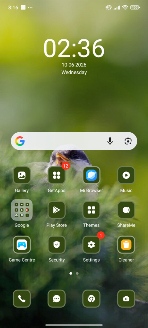 Spring Bird screenshot