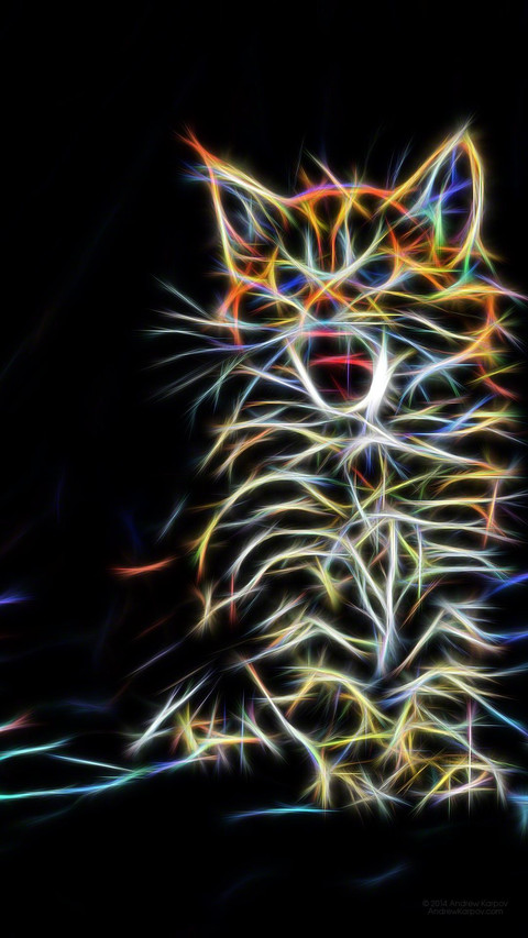 Black Cat screenshot