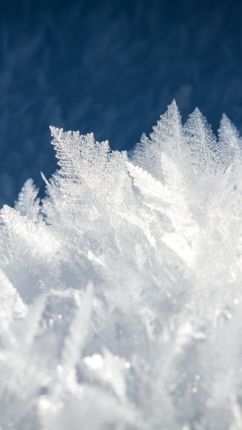 winter (4) screenshot