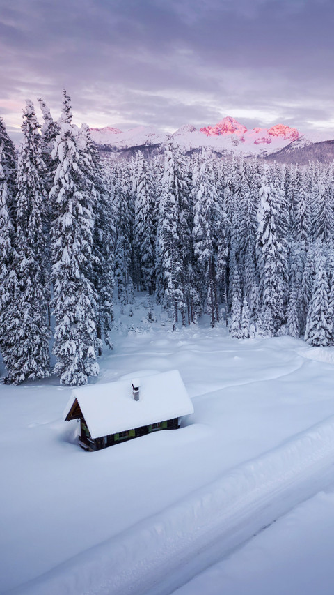 Winter Snowfield screenshot