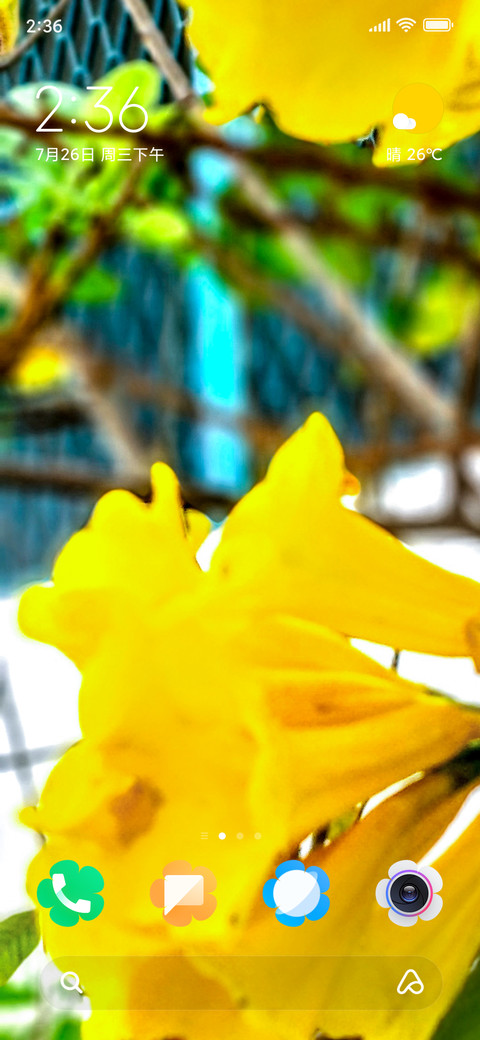 Yellow Elder_DWM2 screenshot