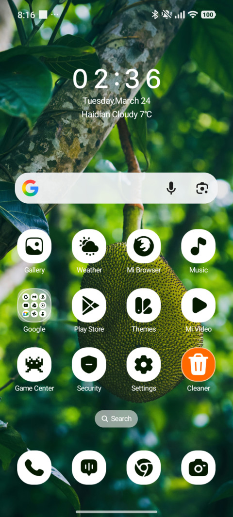 Jungle Jackfruit screenshot