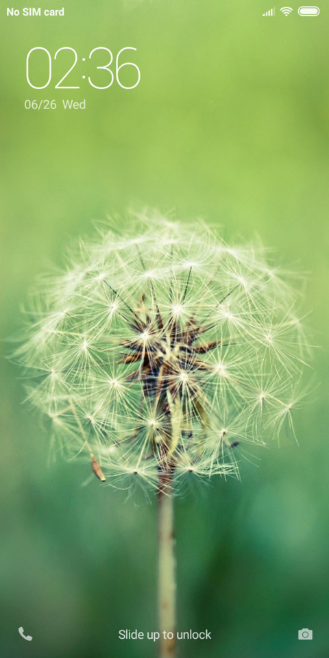 Dandelion NY screenshot