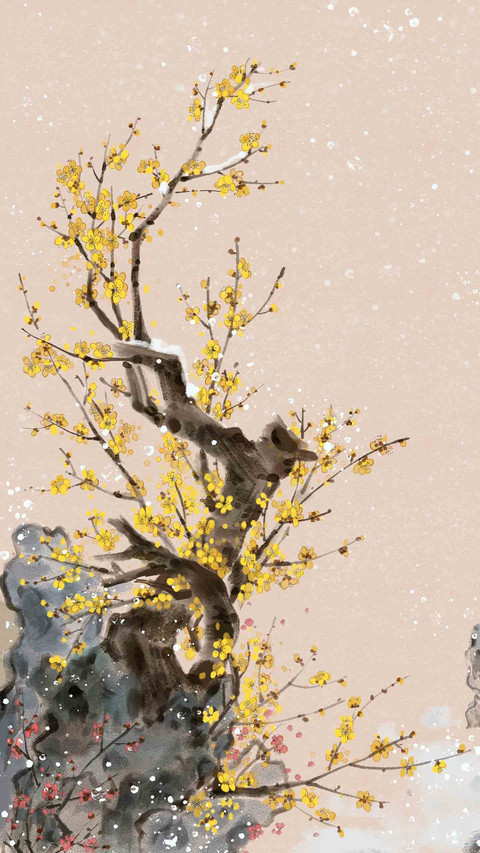 我国十大传统名花 screenshot