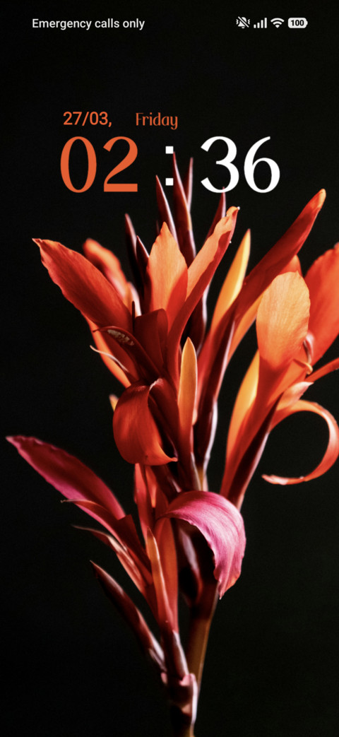 Flower screenshot