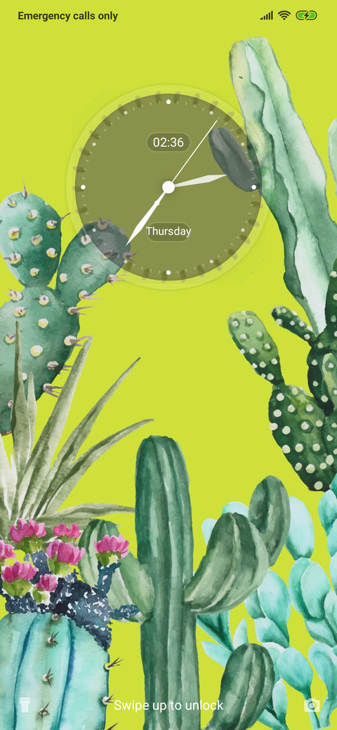 Plant - Cactus_3MDS screenshot