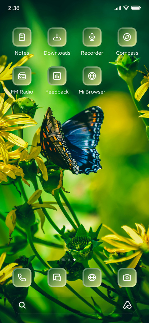 Butterfly screenshot