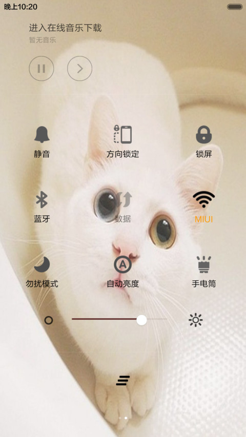 萌猫--可爱 screenshot