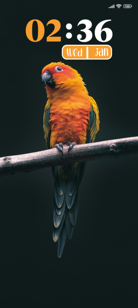 Golden Parrot screenshot