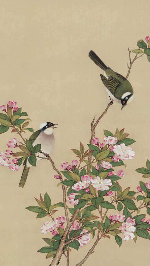 故宫里的“永生花” screenshot