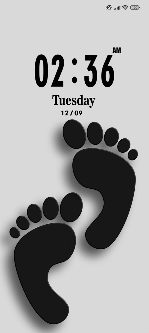 footprint screenshot