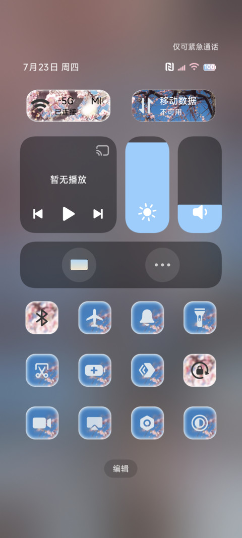 简约 等枝桠成繁花 screenshot