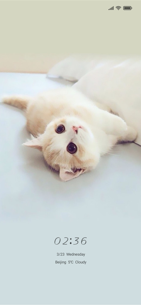 Cute cat screenshot