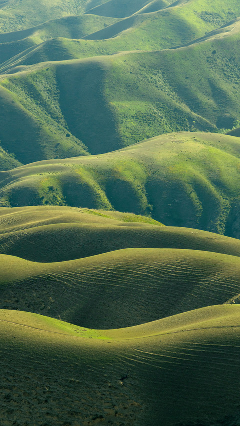 Curve screenshot
