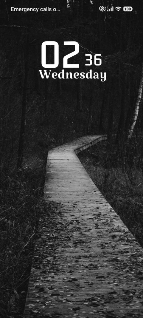 Dark Trail screenshot