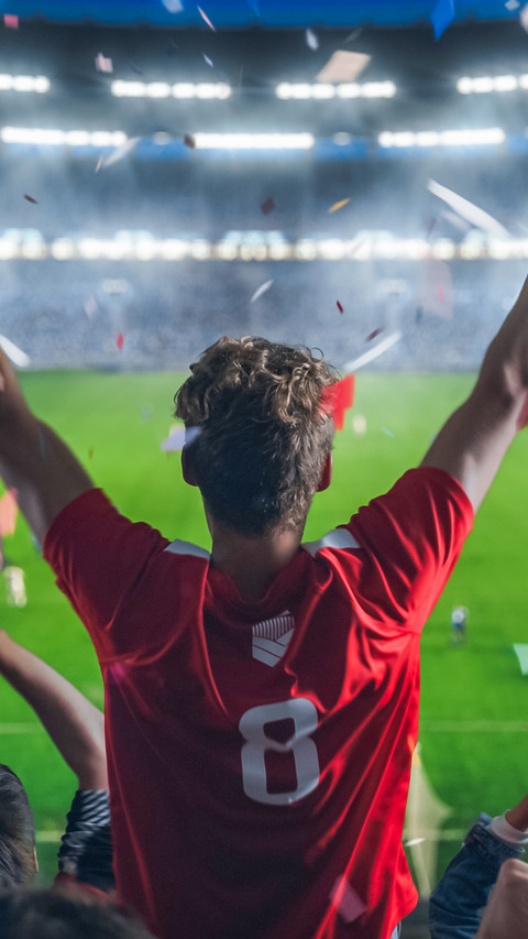 The team scores a goal and the fans scream screenshot