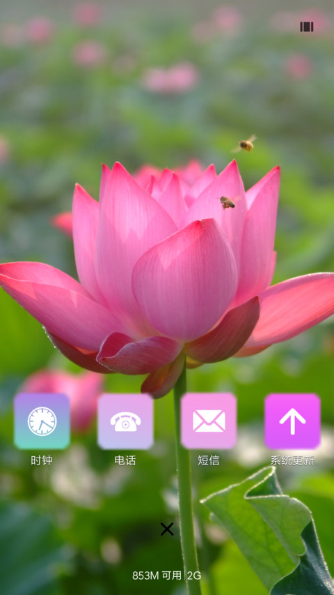荷花 screenshot