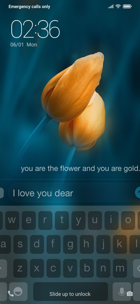 Gold Flowers NY screenshot