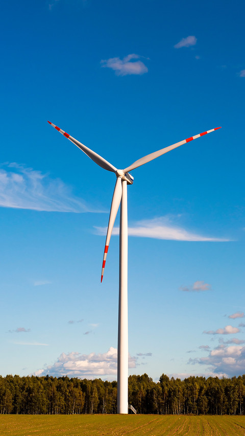 Romantic windmill-10 screenshot