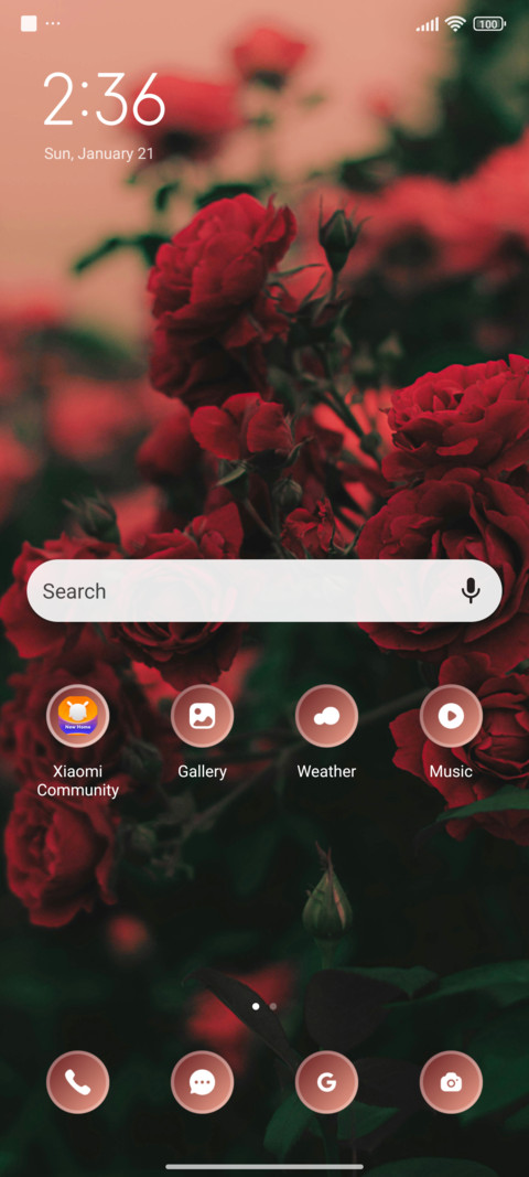 Water Roses screenshot