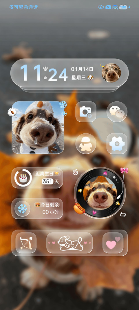 景深 小狗贴贴 screenshot